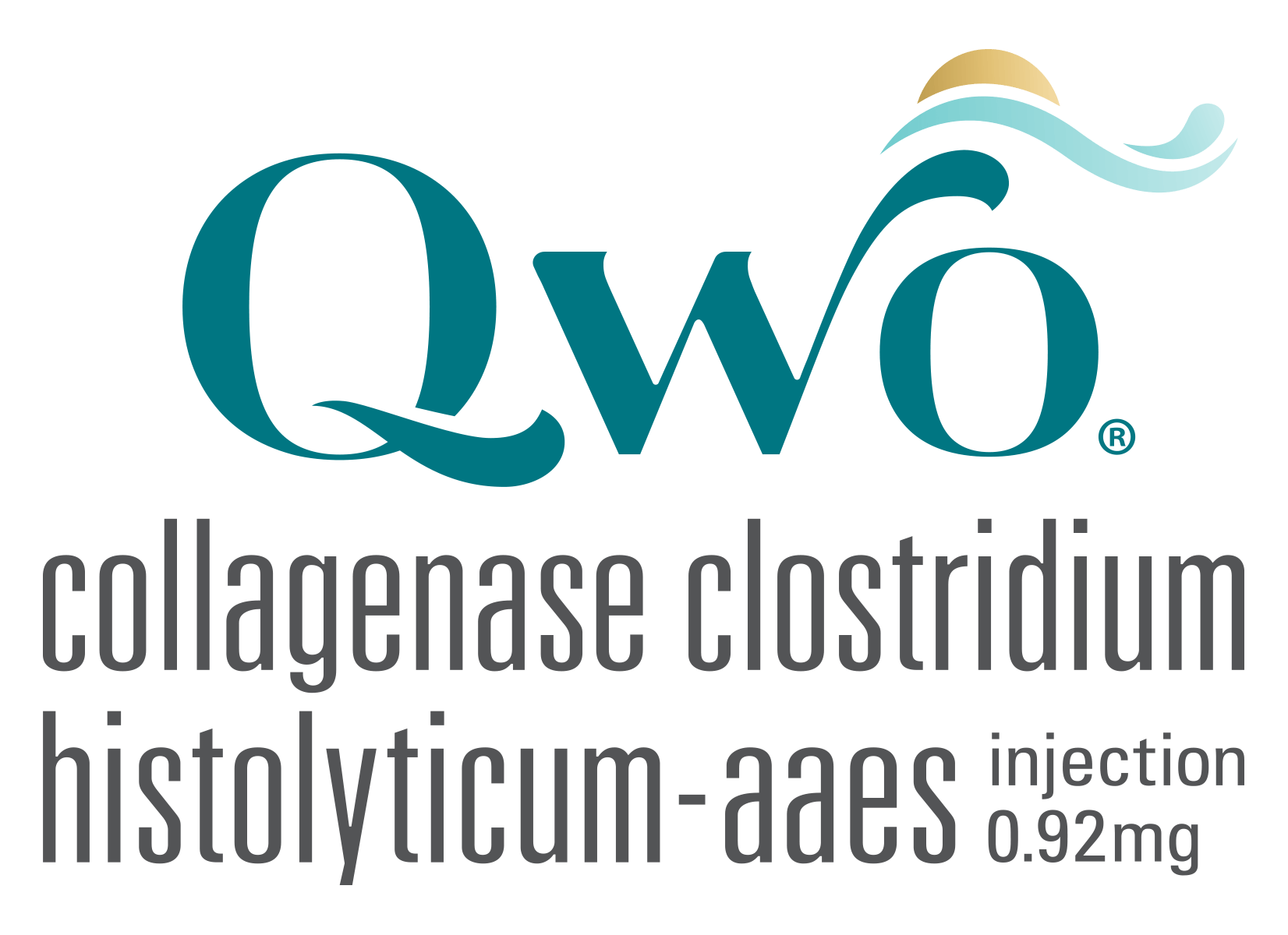 Qwo logo